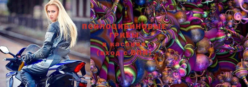 Псилоцибиновые грибы Magic Shrooms  shop телеграм  Красноуральск  наркошоп 